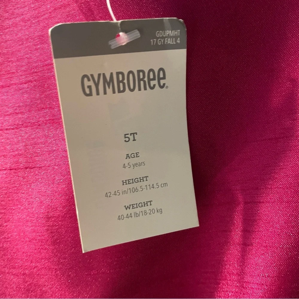 Gymboree Pink and Black Floral Dress
